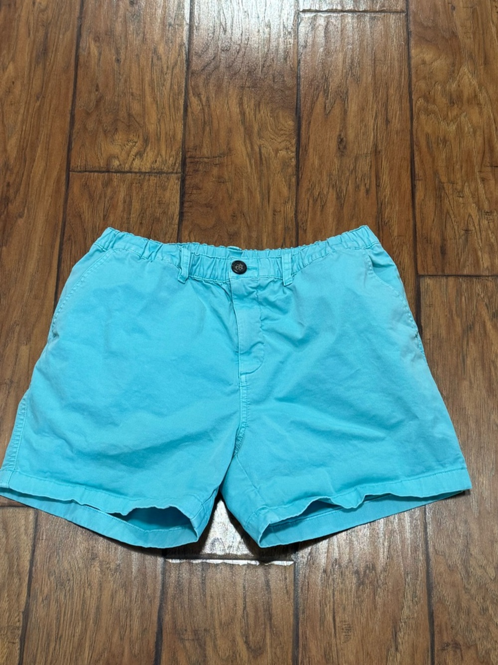 Chubbies Men's Size Large Elastic Waist Shorts - Sky Blue